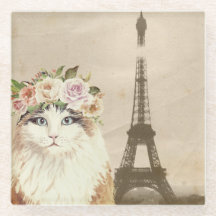 Extravaganter Katzen- und Eiffelturm