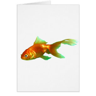 Extravaganter Schwanz