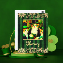 Extravaganter St Patrick's Day Katzen Blarney mit 