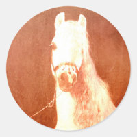 Extravaganter White Circus Pony Vintag Sinti und R