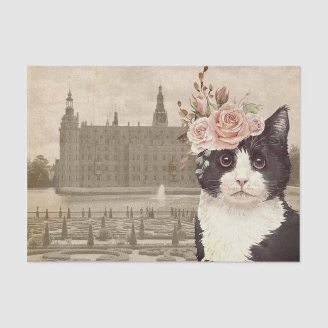 Extravagantes Cat & The Castle Seidenpapier (Vorderseite)
