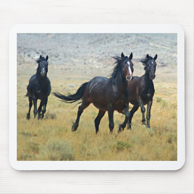 Extravagantes freies mousepad (Vorne)