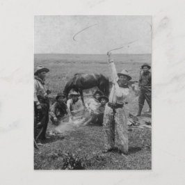 Extravagantes Roping Postkarte
