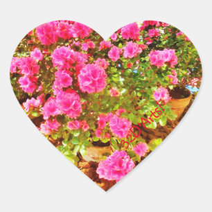 Extravaganz im Rosa, Herz-Aufkleber, glatt Herz-Aufkleber