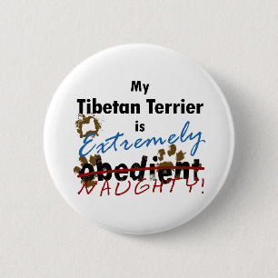 Extrem freches tibetanisches Terrier Button