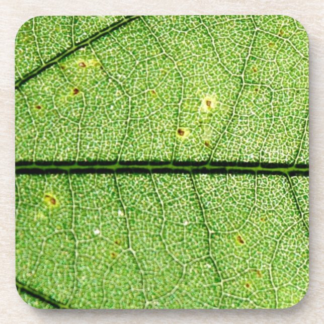 Extrem grünes Leaf Getränkeuntersetzer (Vorderseite)