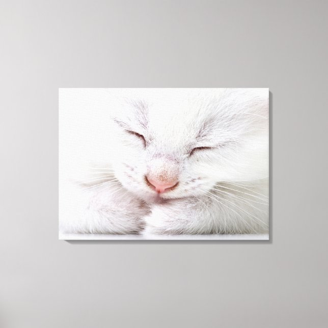 Extrem nah, sehr jung leinwanddruck (Vorderseite)