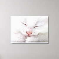 Extrem nah, sehr jung