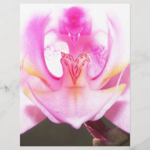 extrem nahe Innenseite einer orchid-Blume