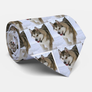 EXTREME **HUSKY** SCHÖNHEIT KRAWATTE