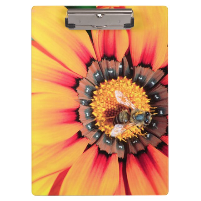 Extreme Nah-up einer Biene, die Pollen sammelt Klemmbrett (Vorderseite)