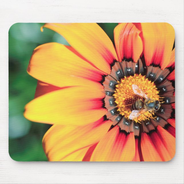 Extreme Nah-up einer Biene, die Pollen sammelt Mousepad (Vorne)