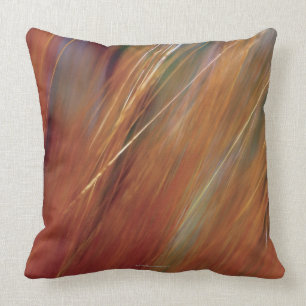 Extreme Nahaufnahme des Weizens wachsend auf dem Kissen