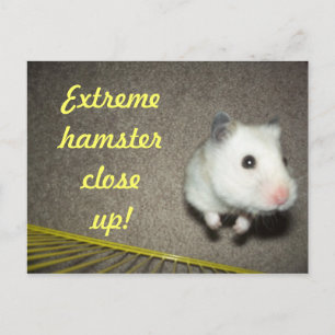 ExtremHamster Nahe Postkarte