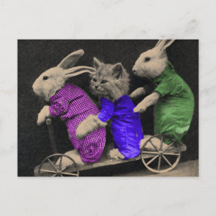 Extremsport Postkarte