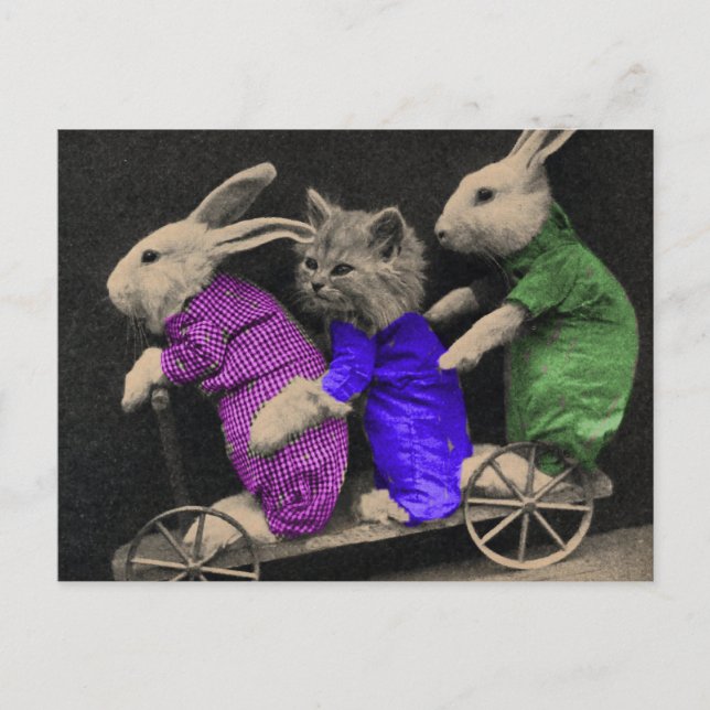 Extremsport Postkarte (Vorderseite)