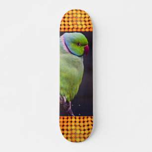 Extremsport Tropen Skateboard