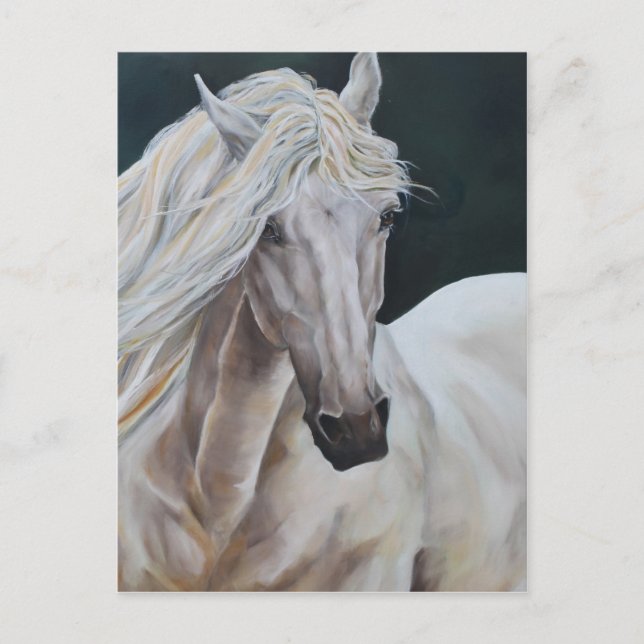 Exzellent Postkarte (Vorderseite)