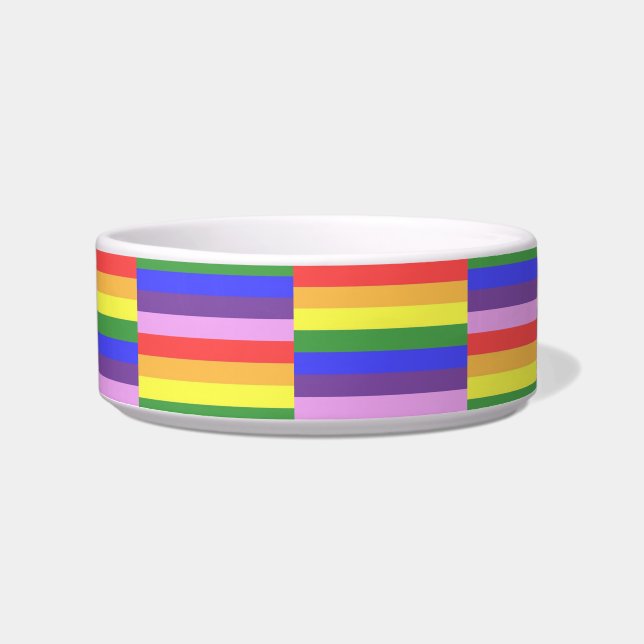 Exzellente Rainbow Stripe Bright Colors Napf (Vorderseite)