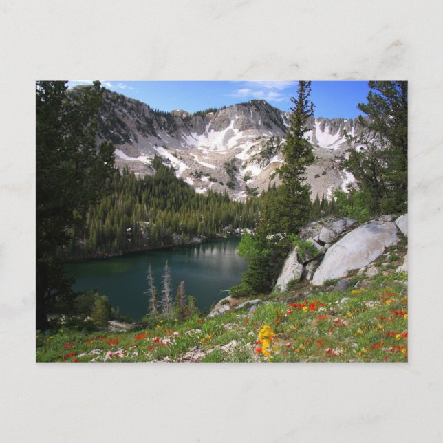 Eye Candy Postcard Postkarte (Vorderseite)