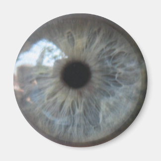 Eye See You Kühlschrankmagnet Magnet