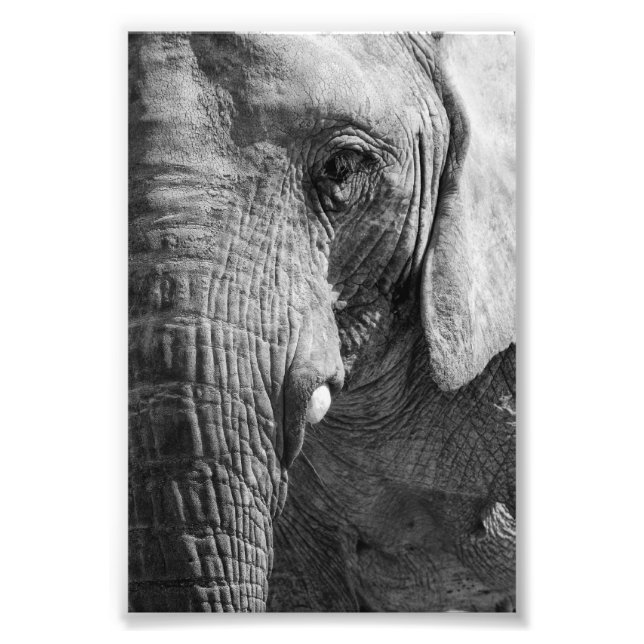 Eye Spy Fotodruck (Vorne)