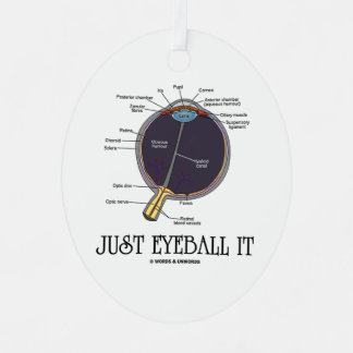 Eyeball It Human Eye Anatomy Geek Rat Ornament Aus Metall