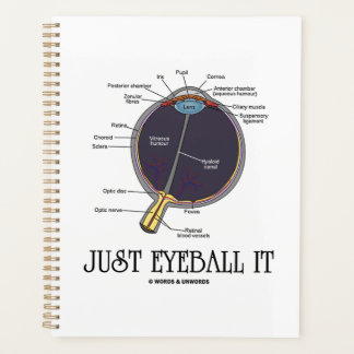 Eyeball It Human Eye Anatomy Geek Rat Planer