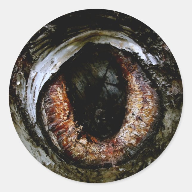 Eyeball-Sticker Runder Aufkleber (Vorderseite)