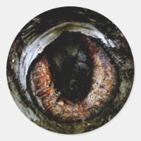 Eyeball-Sticker