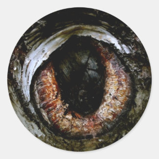 Eyeball-Sticker Runder Aufkleber