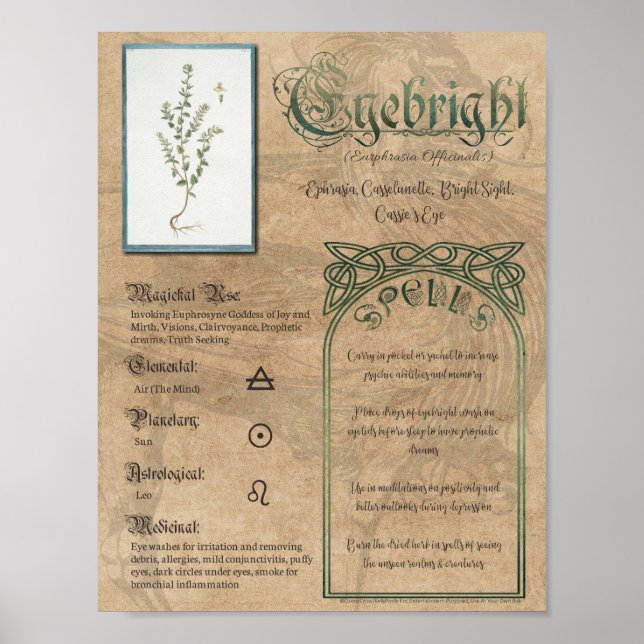 Eyebright Kräuterbuch Schatten Pagan Wiccan Poster (Vorne)