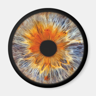 Eyepic Iris Magnet