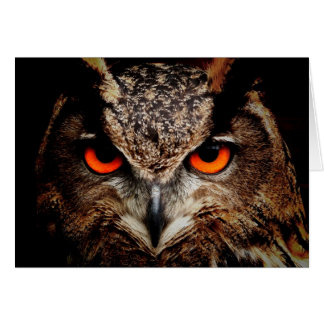 Eyes Eagle