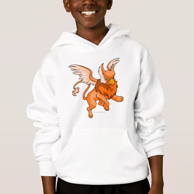 Eyrie-Orange Hoodie (Vorderseite)
