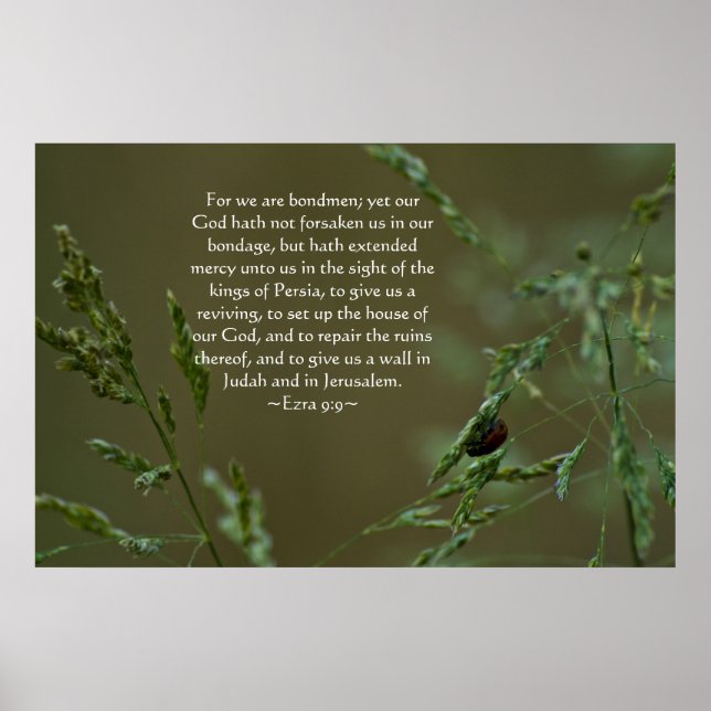 Ezra 9:9 poster (Vorne)