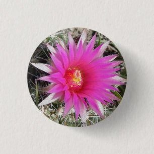 F12 Kugelkaktus "Escobaria vivipara" Button
