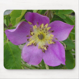 F13 Stachelige Rose Alberta Wilde Rose Mousepad