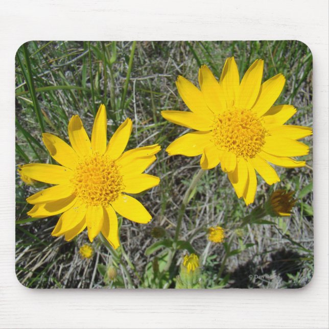 F15 Gelbe Wildblumen Nezeweed Mousepad (Vorne)