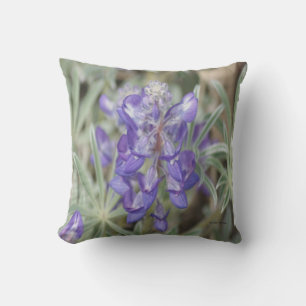 F18 Lila Wildblumen Einjährige Lupine Kissen
