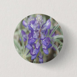 F18 Lila Wildblumen Jährliche Lupine Button