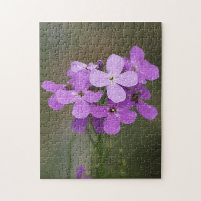 F19 Lila Wildblumen Dames Rocket Puzzle (Vertikal)