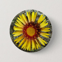 F1 Gelbe Wildblume Gaillardia Button