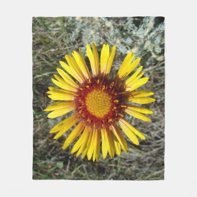 F1 Gelbe Wildblume Gaillardia Fleecedecke (Vorderseite)