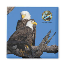 F23 & M15 - Eine neue Ära im Nest