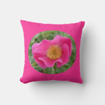 F23aw Wilde Rose