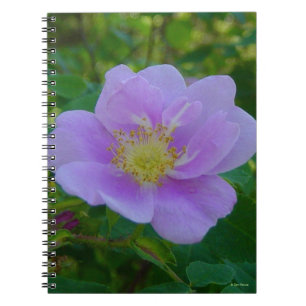 F37 Wilde Rose Notizblock