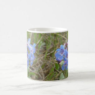 F3 Blaue Wildblumen schlanker Blauzungenkraut Tasse