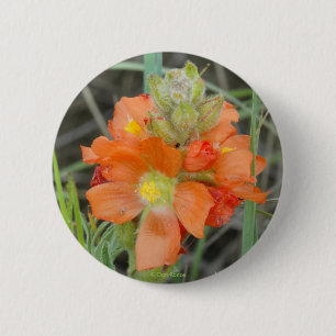F40 Orange Wilde Blumen Scharlach-Malve Button