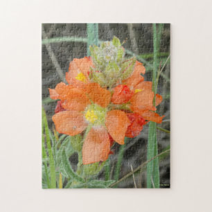 F40 Orange Wilde Blumen Scharlach-Malve Puzzle